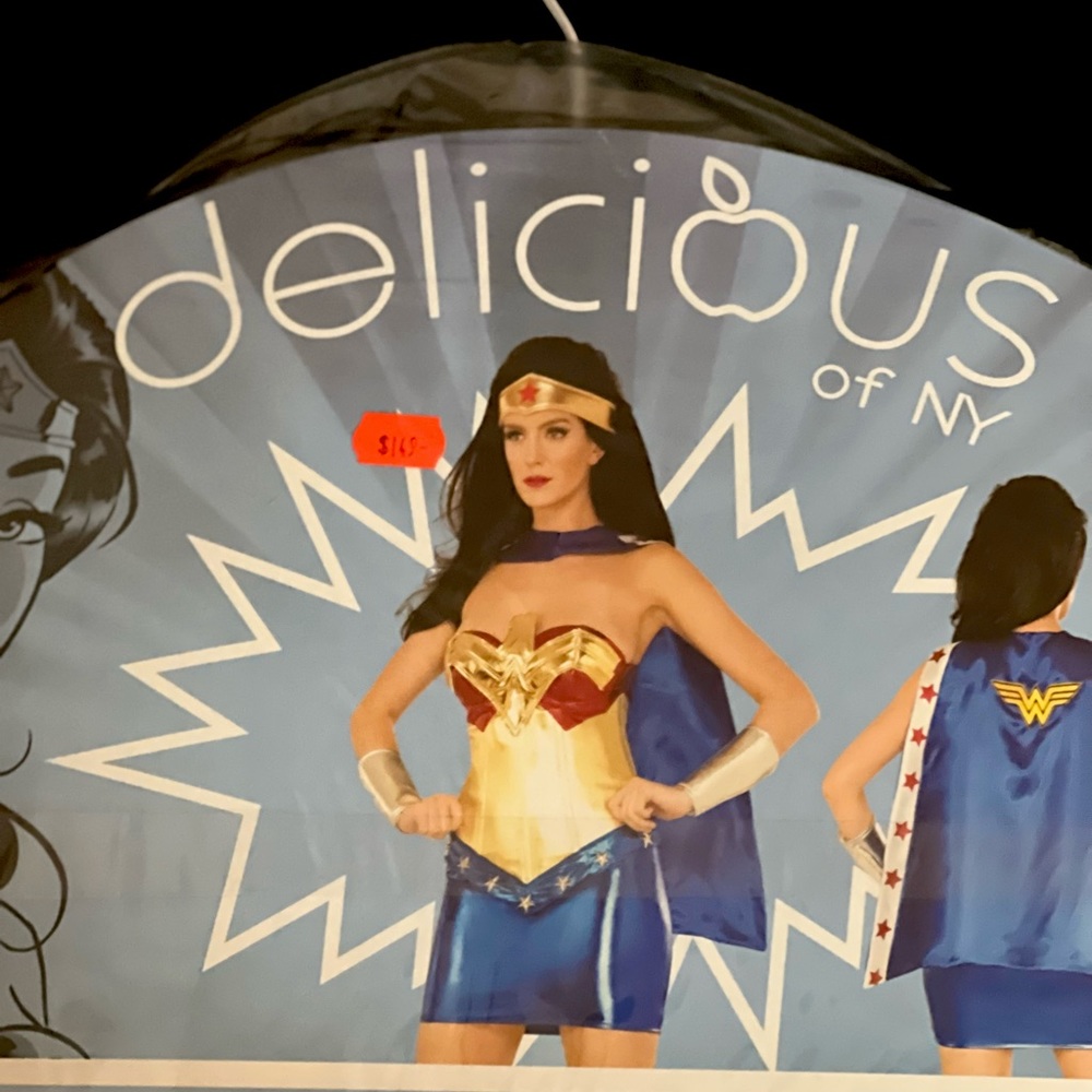Classic Wonder Women Costume